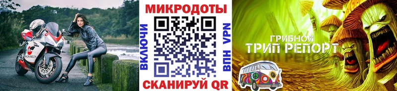 Псилоцибиновые грибы прущие грибы  Калтан 
